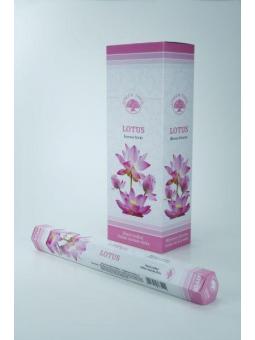 Wierook lotus