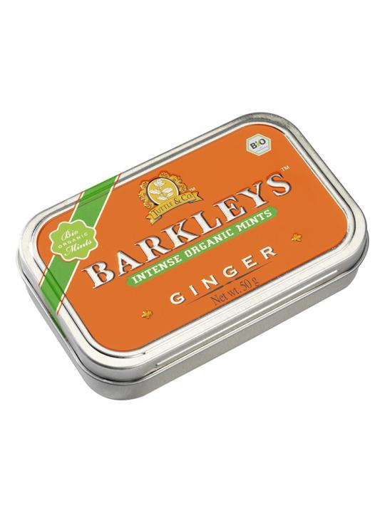 Organic mints ginger bio