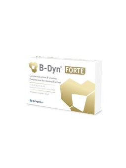 B-Dyn forte