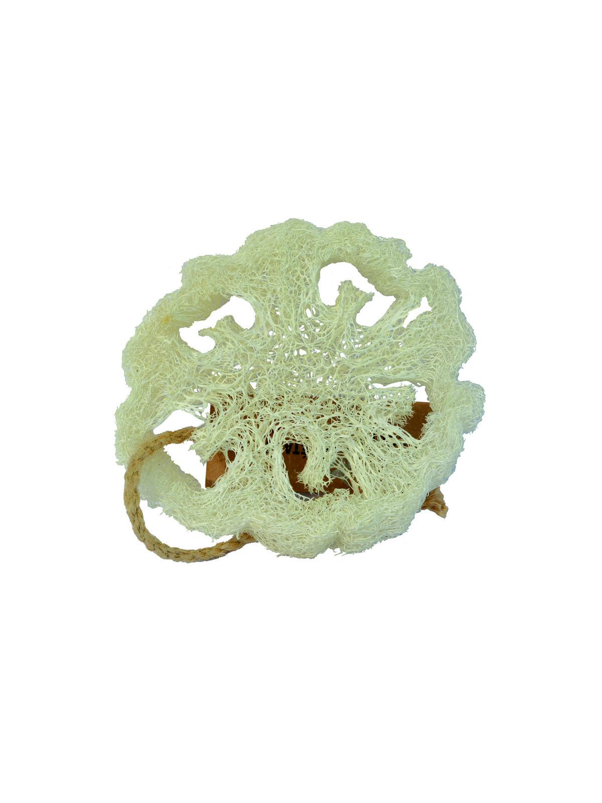 Loofah natuurspons plak