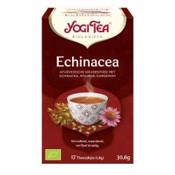 Echinacea