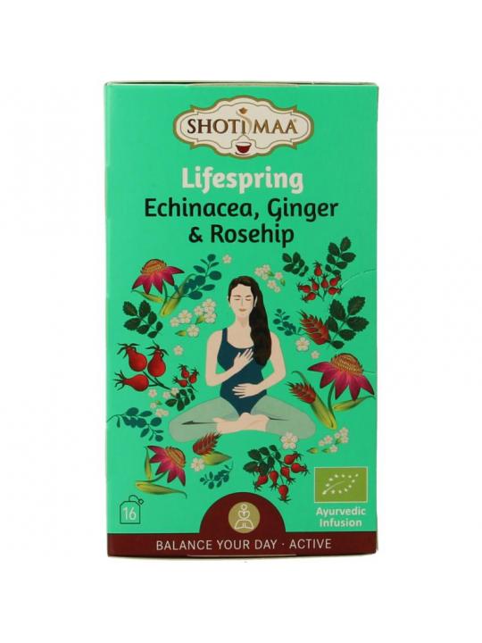 Lifespring echinacea, ginger & rosehip bio