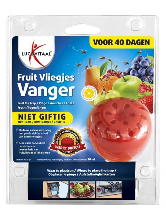 Fruitvliegjes vanger
