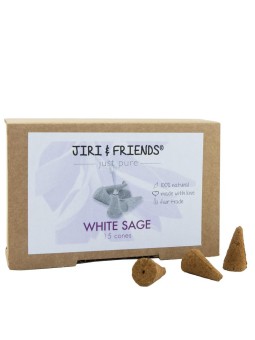 Cones witte salie