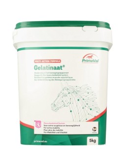 Gelatinaat paard