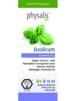 Basilicum bio