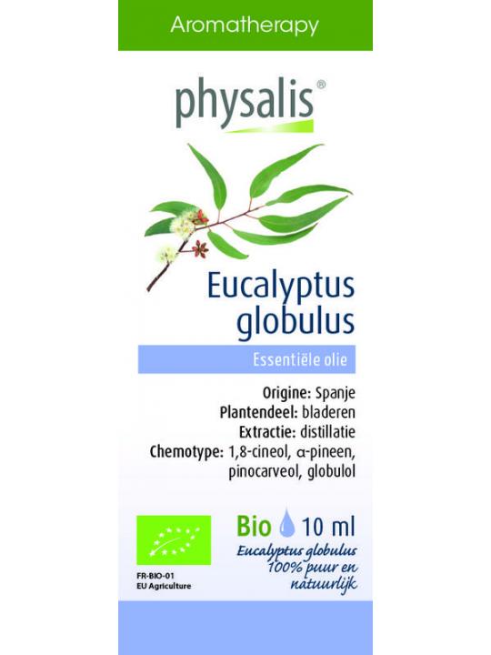 Eucalyptus globulus bio