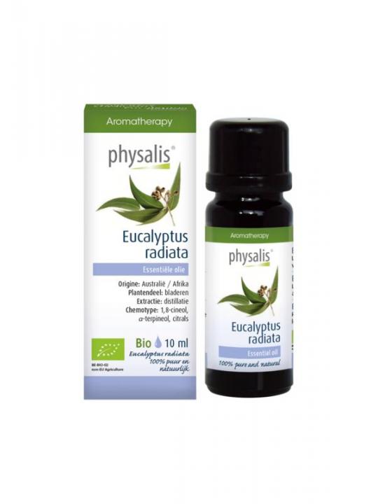 Eucalyptus radiata bio