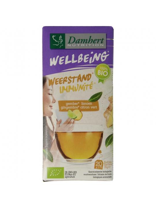 Tea time gember limoenthee bio