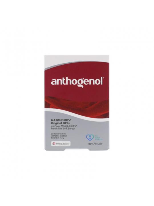 Anthogenol