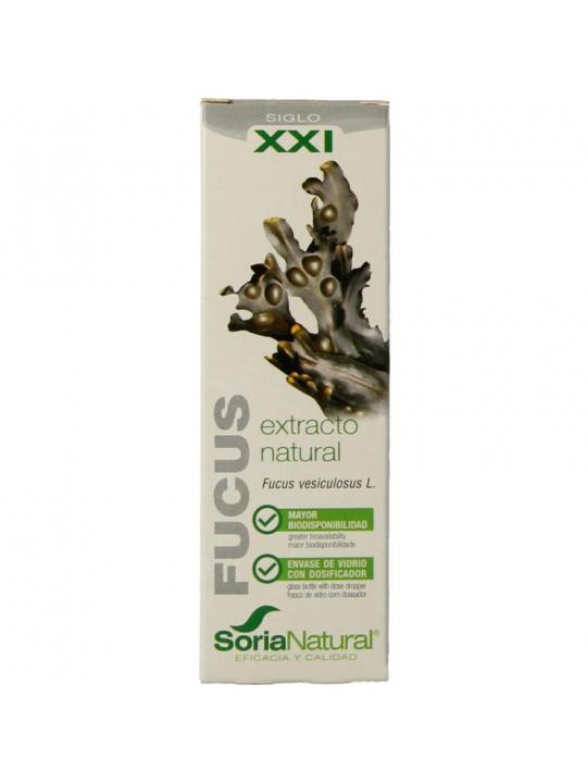 Fucus vesiculosus XXI