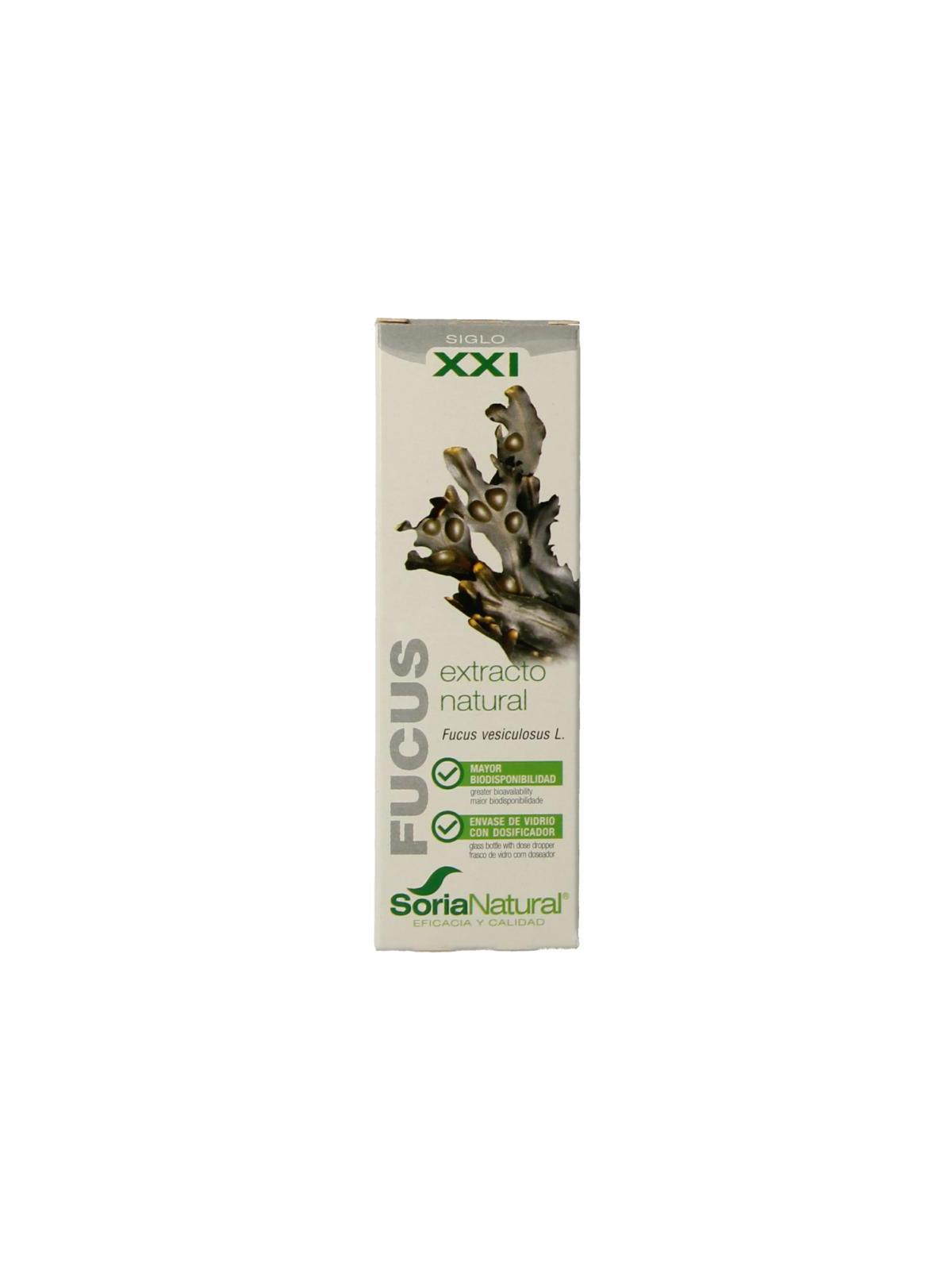 Fucus vesiculosus XXI