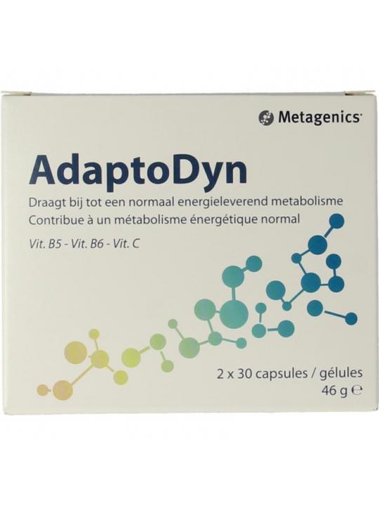 Adaptodyn