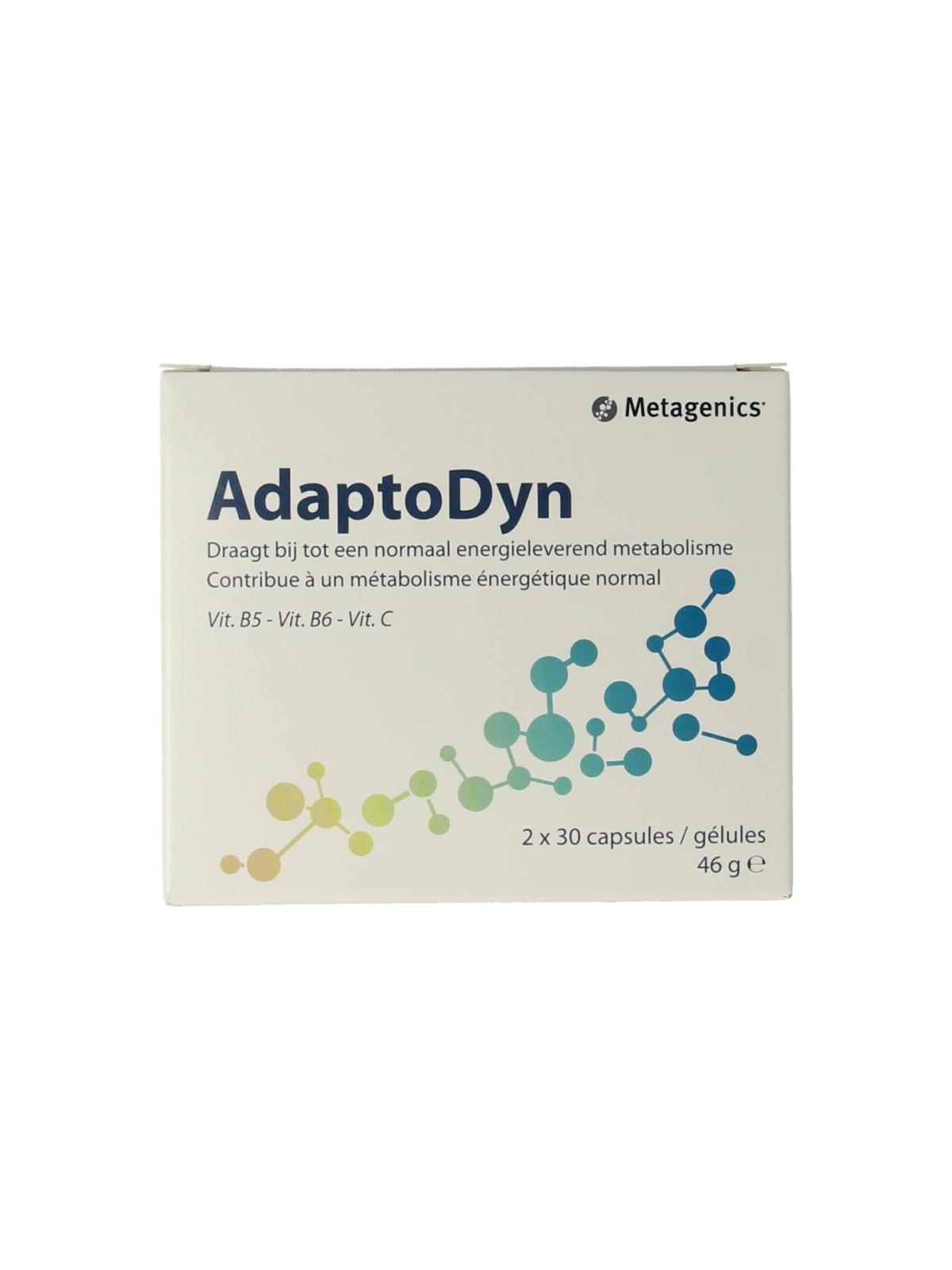 Adaptodyn