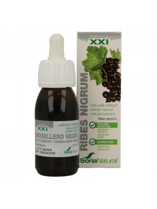 Ribes nigrum XXI extract