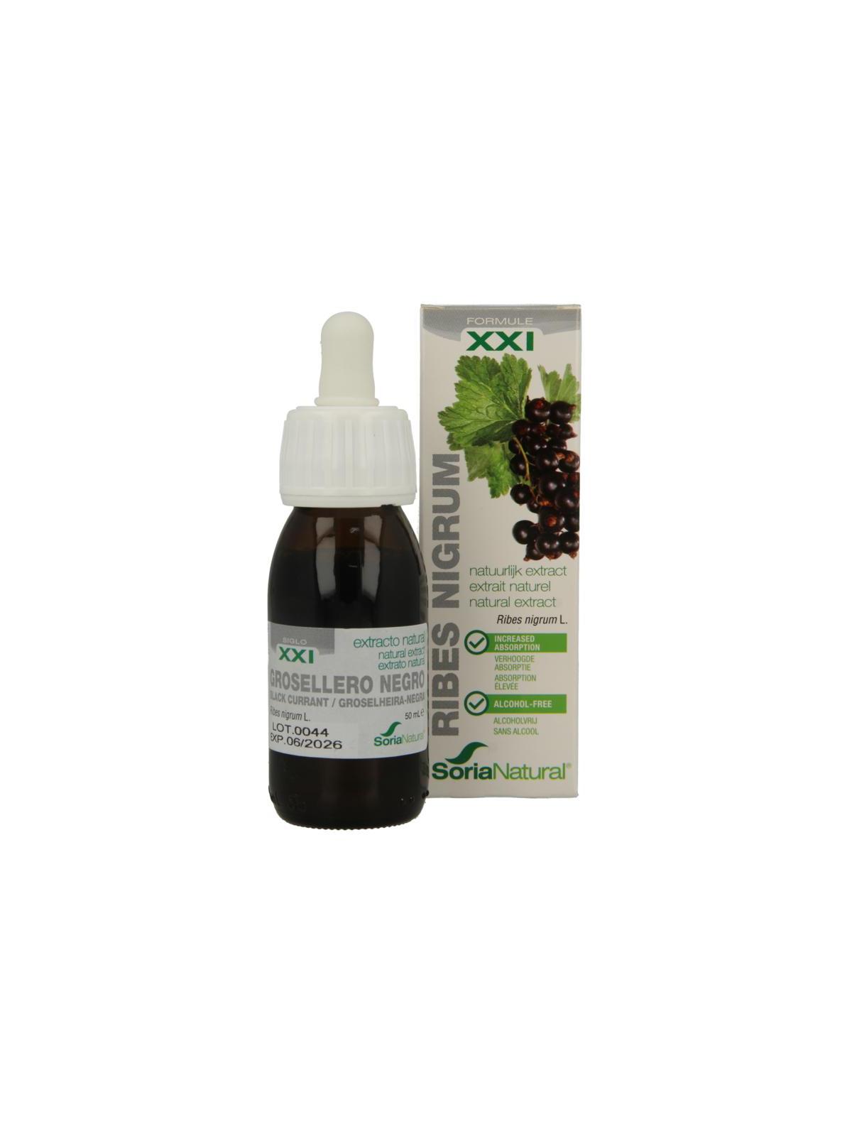 Ribes nigrum XXI extract