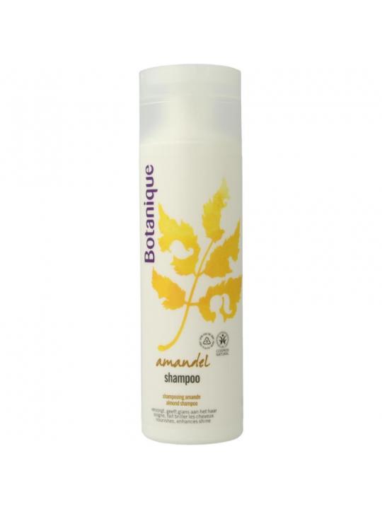 Shampoo amandel