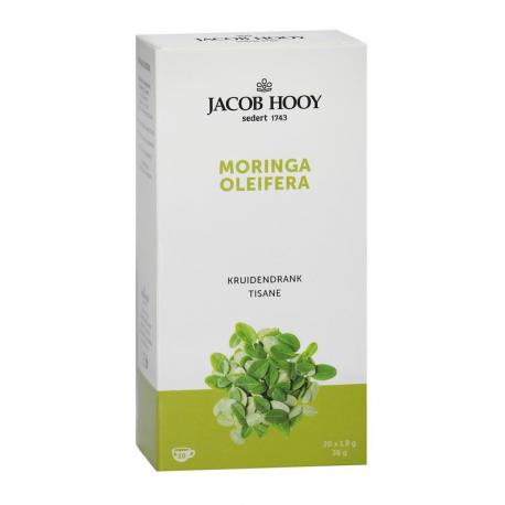 Moringa oleifera