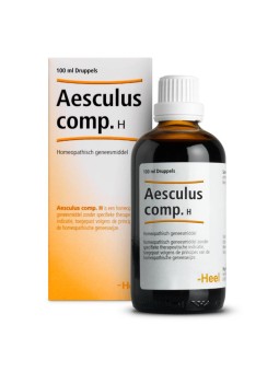 Aesculus compositum H