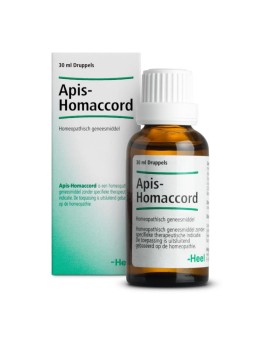 Apis-Homaccord