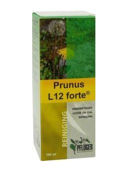 Prunus L12 forte