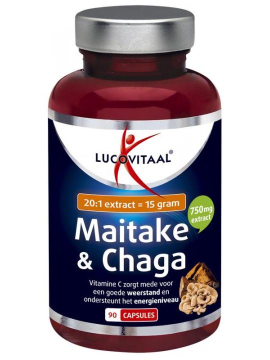 Maitake & chaga