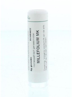 Millefolium MK