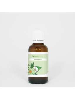 RGP006 Galwegen Regenoplex