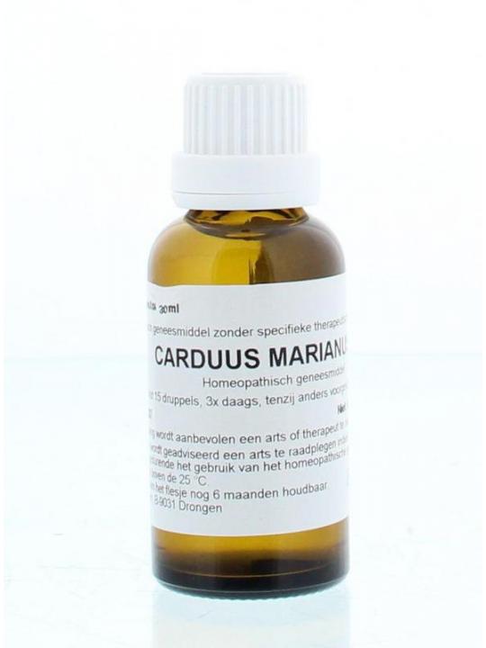 Carduus marianus D6