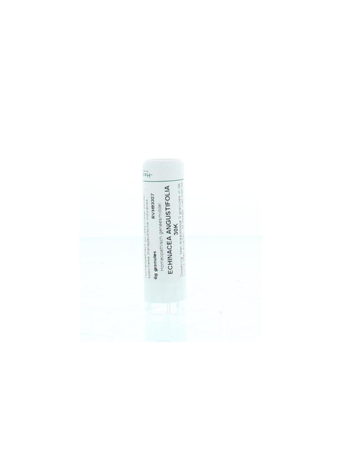 Echinacea angustifolia 30K