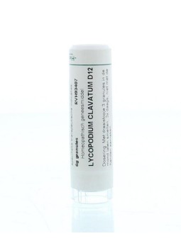 Lycopodium clavatum D12