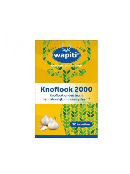 Knoflook 2000