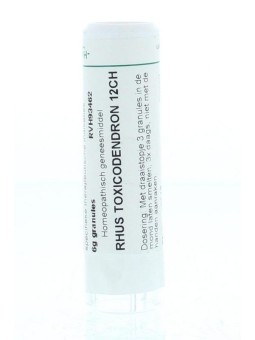 Rhus toxicodendron 12CH