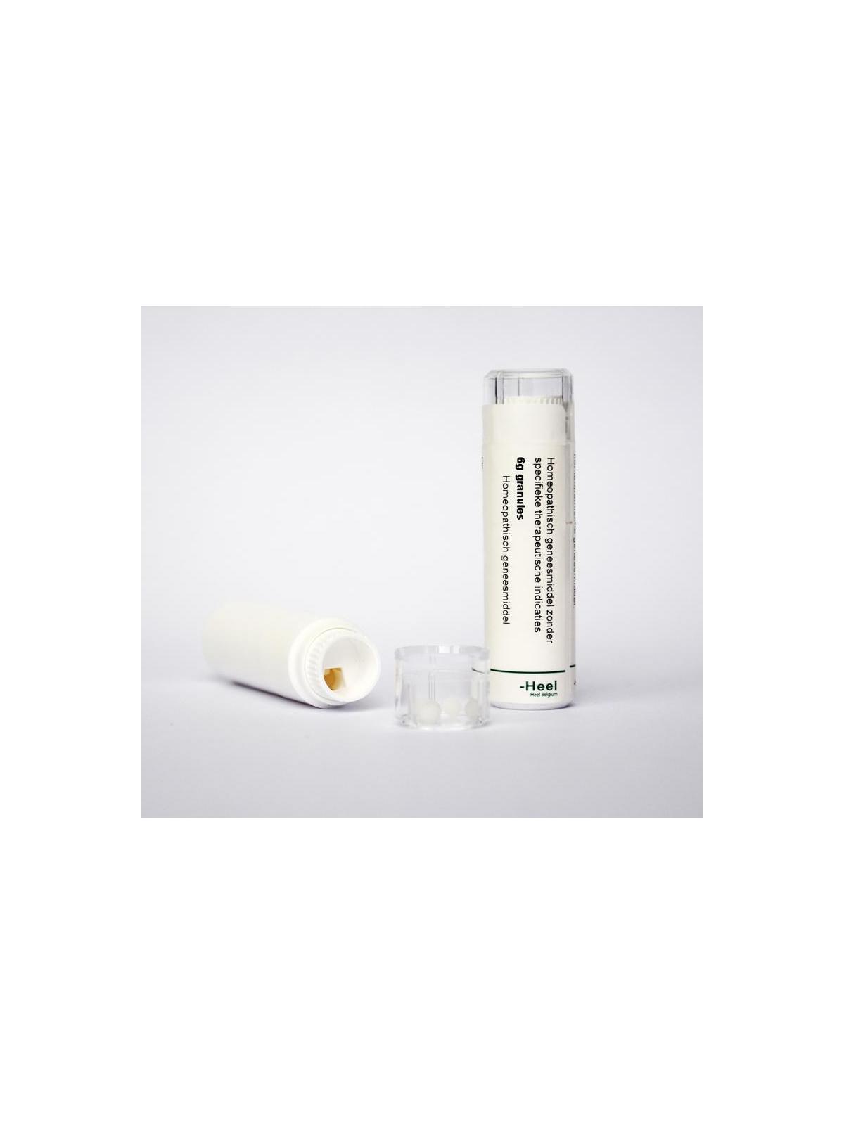 Arnica montana 500K