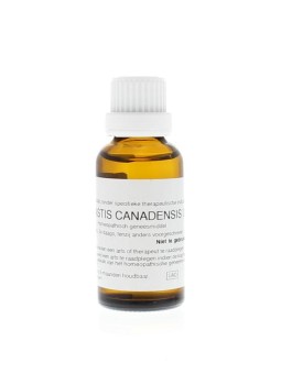 Hydrastis canadensis D6
