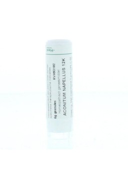 Aconitum napellus 12K