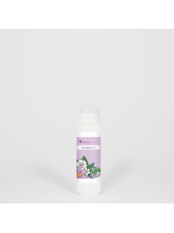 CSP 018 Verrucosode Causaplex