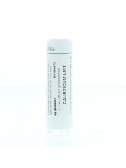 Causticum LM1