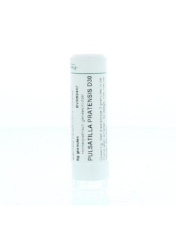 Pulsatilla pratensis D30