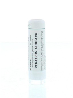 Veratrum album D6