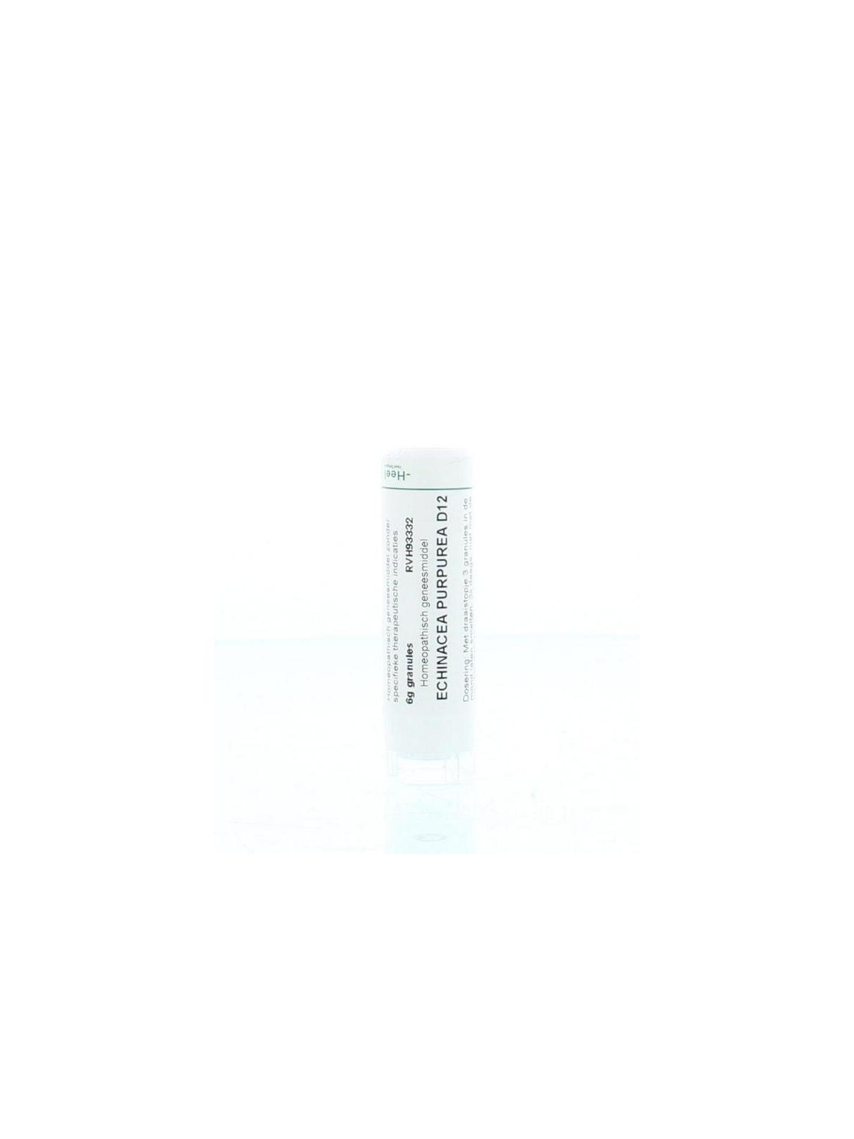 Echinacea purpurea D12