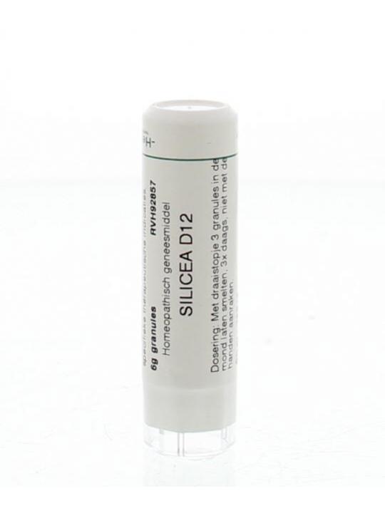 Silicea D12