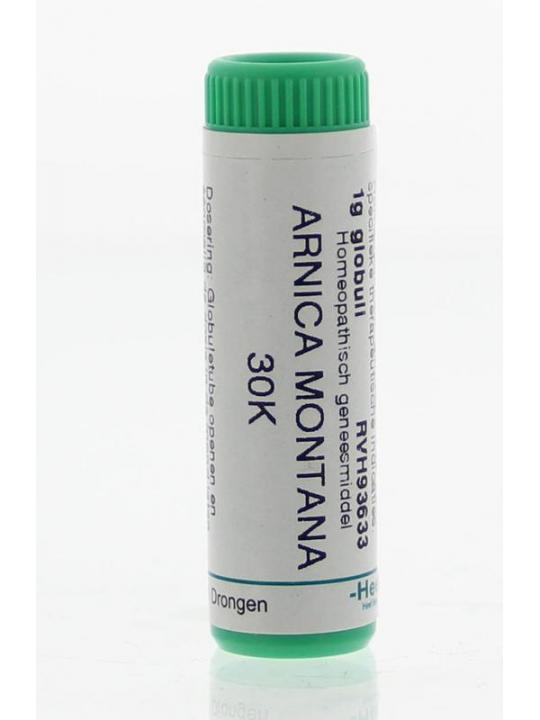 Arnica montana 30K