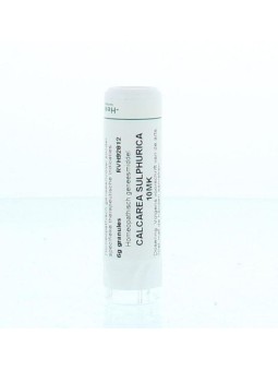 Calcarea sulphurica 10MK