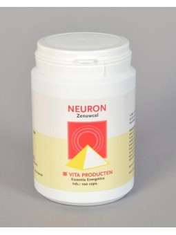 Neuron