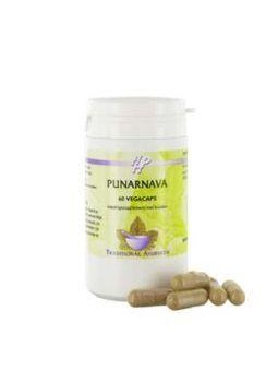 Punarnava