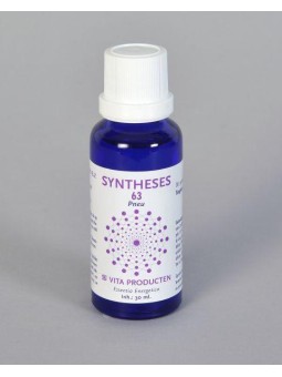 Syntheses 63 pneu