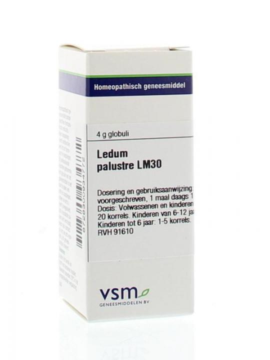 Ledum palustre LM30