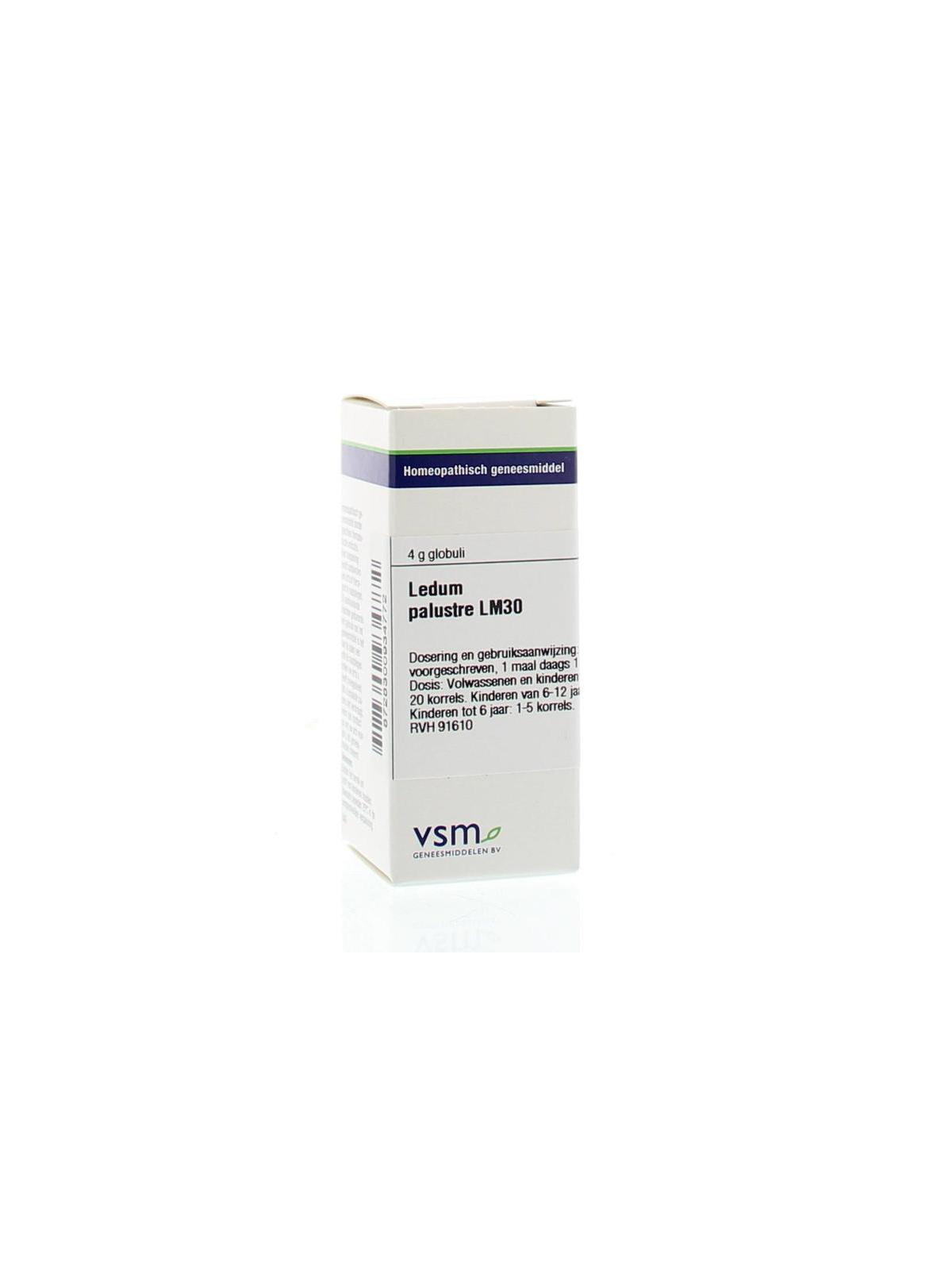 Ledum palustre LM30