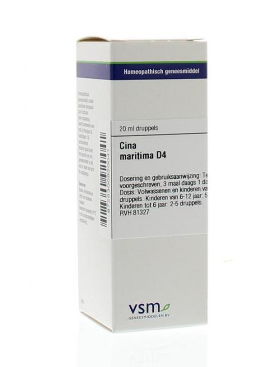 Cina maritima D4